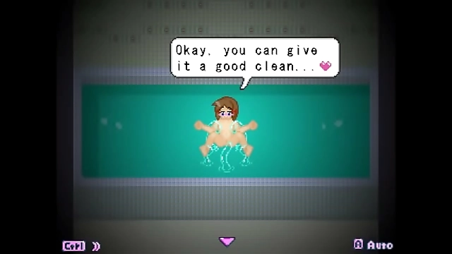 Witness the Ultimate Luscious Asian Beauties in DiMansion Diary s Full Gallery with Pixel Art H-Game